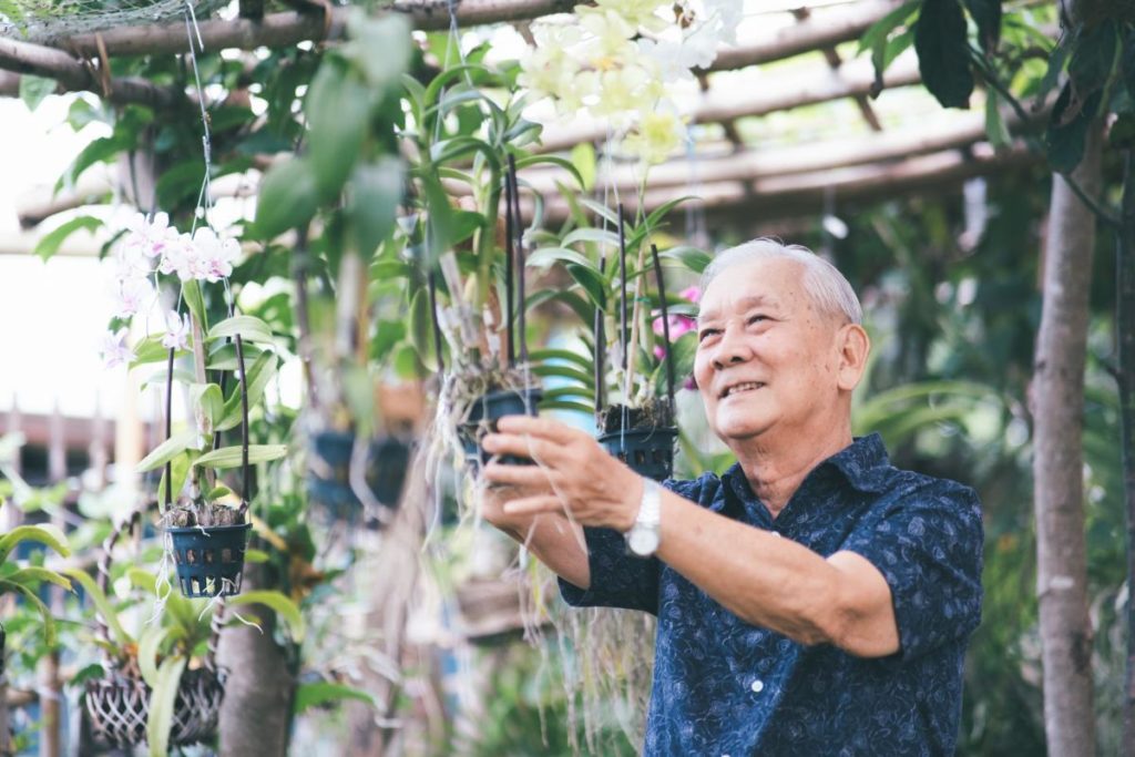 elderly man in greenhouse attending to plants and enjoying community activities for elderly in assisted living